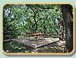 rooms holidays tuscany: ancient Benedictine monastery